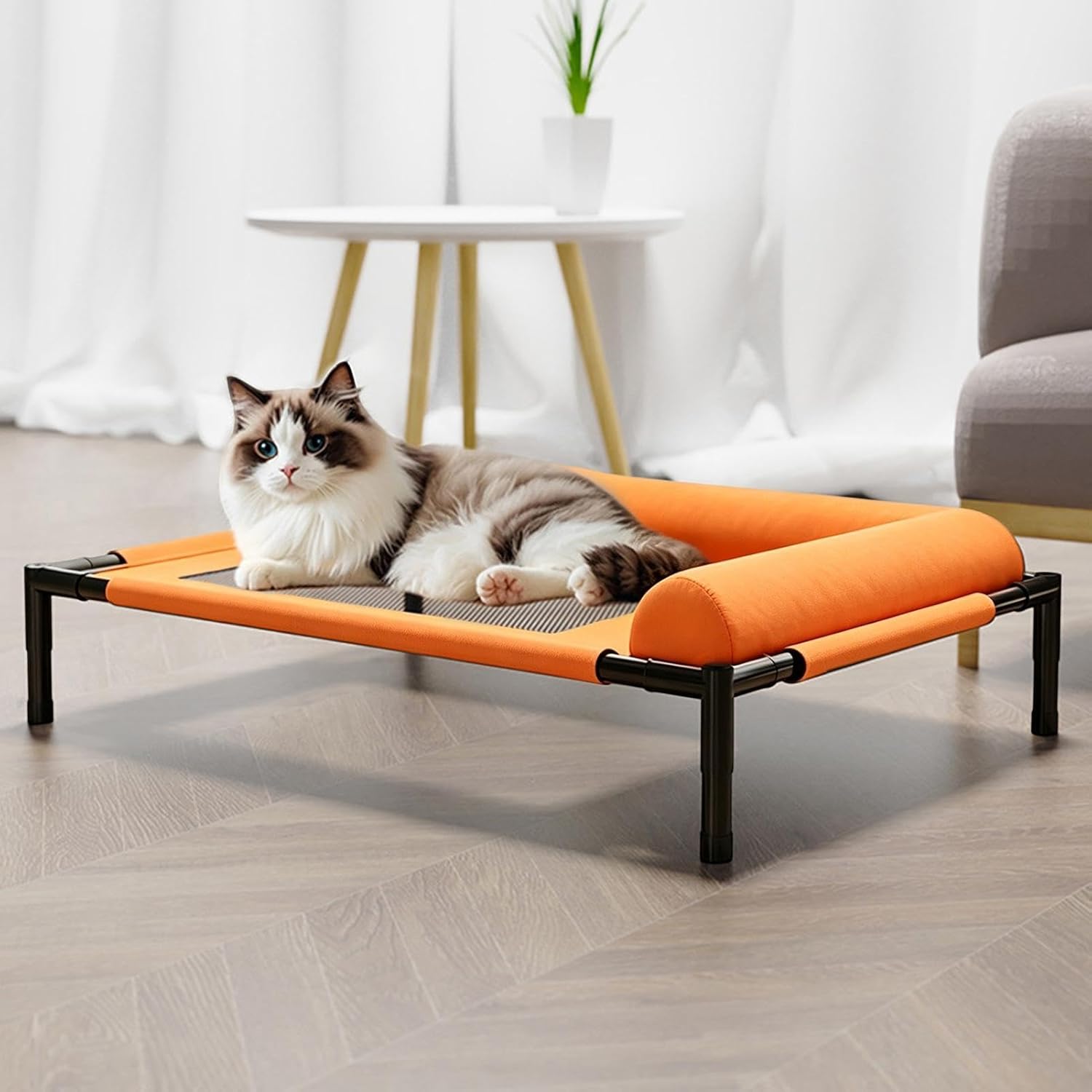 Dog and cat beds
