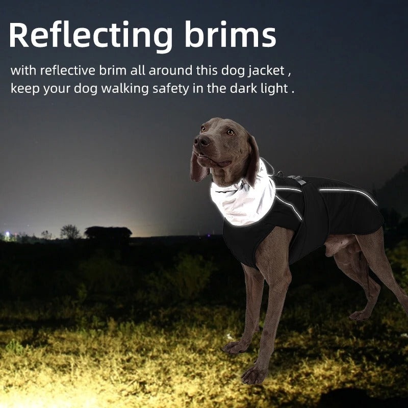 Winter Reflective Dog Jacket