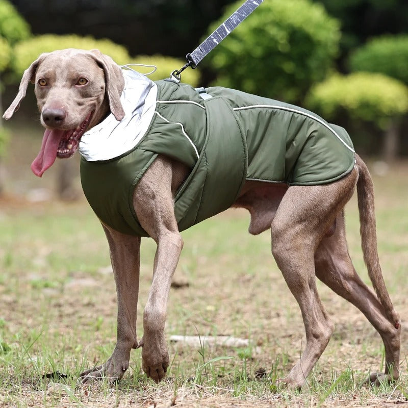 Winter Reflective Dog Jacket